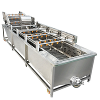 Bijl Volautomatische Groentefruitverwerkingslijn Omvat Het Sorteren Van Het Drogen Van De Warmtewisselaar Voor Het Drogen Van De Snij Voor Voedselverwerking