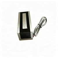F302020 Taille 30*20*20mm Forme rectangulaire 12V 24V CC Micro-lève-charge électromagnétique Bobine en fer Force de maintien 14kg Cycle de service 100%