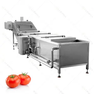Automatic PotatoTomato Vegetable Blanching Machine Large Capacity Mango Fruit Blanching Machine