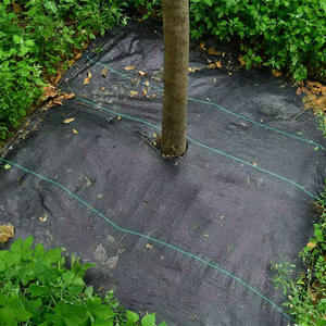 Tela cuadrada perforada para control de malezas, tela tejida para cortar agujeros, tela para esterilla de malezas para árboles e invernaderos - Product Image 6