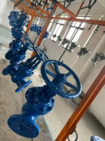 Vanne à opercule en acier inoxydable 316, filetage BSP, tige non élévatrice, pour système d'eau basse pression CVC