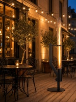Chauffe-terrasse extérieur à granulés de bois, ambiance cosy, avec tube en verre pour la flamme, en acier inoxydable, haute efficacité, pour jardin et terrasse