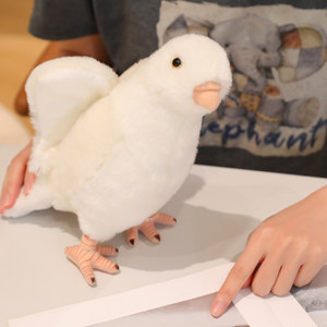 Bán buôn mô phỏng chim bồ câu đồ chơi sang trọng búp bê chim búp bê nhỏ màu trắng chim bồ câu đồ chơi sang Trọng Quà Tặng trẻ em ragdoll giáo dục - Product Image 4