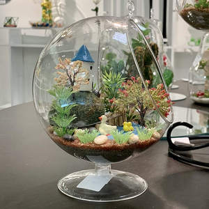 Slant Bowl <span class=keywords><strong>Terrarium</strong></span> Pflanzer <span class=keywords><strong>Terrarium</strong></span> Ball mit Ständer Klarglas Blumenvase DIY Sukkulenten Home Office Dekor Slant Cut <span class=keywords><strong>Orb</strong></span> - Product Image 5