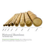 Pôles en bambou naturel de qualité d'exportation, matériau de construction, grandes cannes structurelles, usine du Vietnam - Product Image 6