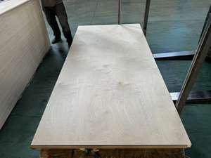 <span class=keywords><strong>Plaque</strong></span> de <span class=keywords><strong>contreplaqué</strong></span> de bouleau stratifié marin filmé 122x244cm, <span class=keywords><strong>contreplaqué</strong></span> MDF 4x8 - Product Image 3