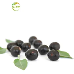 纯抗氧化成分多酚巴西莓提取物粉末状价格
