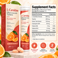 Comprimés effervescents à dissolution rapide de L-Carnitine Tartrate 600mg avec thé vert, CoQ10 et Chrome – Fabrication OEM