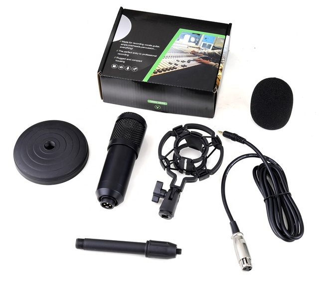 Lane LM-850 Professional Condenser Microphone Xlr Condenser Microphone Studio Recording Metal