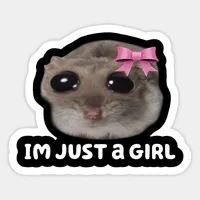 Peluche Meme Hamster Triste avec Musique et Chansons, Jouet en Peluche Hamster aux Grands Yeux