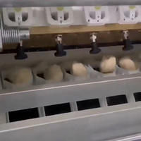 Machine à diviser et à arrondir la pâte automatique à 5 rangées en acier inoxydable, ligne de traitement de la pâte à pain de précision industrielle