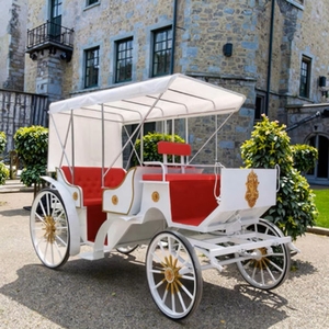4-6Person Custom Vintage Carriage Leisure Victorian Electric Caleches Horse Carriage with Hood for Wholesale- US/EU Standard - Product Image 5