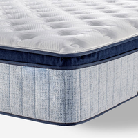 Matelas Orthopédique Européen en Mousse à Ressorts Ensachés, Tissu Tricoté Rafraîchissant et Massant, Idéal Hôpital, École, Chambre à Coucher, Design Moderne