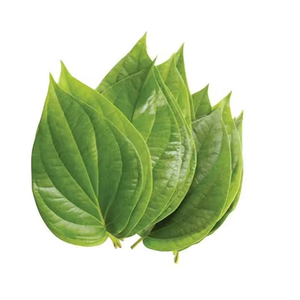 Hoja de Betel Verde Natural Fresca, Entera, de Primera Calidad, para Uso Culinario, Herbal, Ayurvédico, Ceremonias Religiosas, Grado Alimenticio - Product Image 4