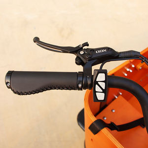 Tricycle adulte le plus vendu, <span class=keywords><strong>vélo</strong></span> cargo électrique à chargement frontal, homologué CE, <span class=keywords><strong>vélo</strong></span> cargo familial hollandais à 3 roues Bakfiet avec <span class=keywords><strong>housse</strong></span> de pluie - Product Image 5