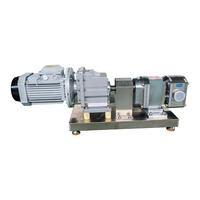 Pompe à rotor - Pompe professionnelle de transport de liquides et de pâtes. Modèles personnalisables disponibles.