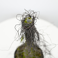 Arbre de simulation en gros du fabricant, 75 cm, arbre à raisins artificiel, décoration intérieure, plante verte en mousse