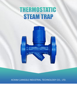 Piège thermodynamique manuel en acier moulé DN25 pour application générale, type Balance Trap - Product Image 3
