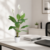 Plantes artificielles d'intérieur personnalisables, plantes artificielles en pot, plantes artificielles en pot pour la décoration de la maison et du bureau