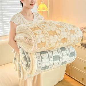 Vente en gros de couverture cationique double couche épaissie pour l'hiver Couverture en laine d'agneau composite Couverture pour enfants - Product Image 5