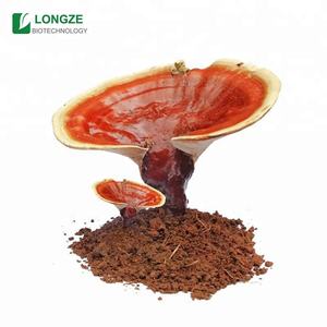 Экстракт нутритональных трав оптом, Экстракт Рейши, порошок, экстракт грибов линчжи, Ganoderma Lucidum - Product Image 2