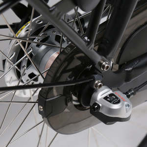 TXED <span class=keywords><strong>bicicleta</strong></span> Retro holandesa de alta <span class=keywords><strong>calidad</strong></span> <span class=keywords><strong>para</strong></span> hombre mujer 3 velocidades 36V 250W Motor Amsterdam Cargo Ebike Commuter bicicletas eléctricas de ciudad - Product Image 6