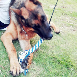 Custom Logo Grappig Achtervolgende Staart Teaser Toverstaf Sporter Interactieve Huisdier Speelgoed Uitschuifbare Hond Flirtstok Voor Honden - Product Image 4