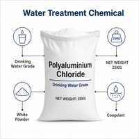 Chlorure de polyaluminium en poudre blanche PAC 30% Qualité eau potable pour usine de traitement