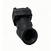 Filtre en Y en acier forgé DN15-DN50 6000 CWP A105 avec filetage NPT, filtre de type Y haute pression