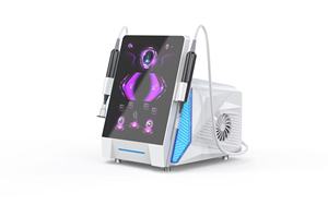 Máquina de Belleza de Plasma Frío y Caliente 2 en 1 para Tratamiento del Acné, Lifting Facial y Eliminación de Arrugas, Venta al por Mayor de Fábrica - Product Image 6