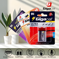 Fournisseur en ligne chinois de batteries OEM, piles 9V, piles au carbone 9 volts pour détecteurs de fumée, interphone sans fil/microphone/radio