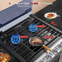 Cuisinière Encastrable Professionnelle Junsky 21 Pouces pour VR, Gaz, 3 Brûleurs, Acier Inoxydable avec Four