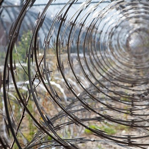 גדר תיל גילוח עם חוטי ברזל מגולוון בחום, אבטחה גבוהה, הגנה היקפית, בקרת מהומות, התקנה קלה - Product Image 1