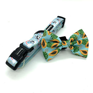 Beludru Korduroi Hijau Dipersonalisasi Kerah Kucing dengan Dasi Kupu-kupu Diam Kitten Nama Tag Emas Bell & Hardware Anjing Kecil Kerah UK Gratis - Product Image 1