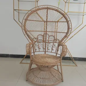 Leisure Outdoor Garden PE Material Peacock Pattern Weave Cane Garden Chair