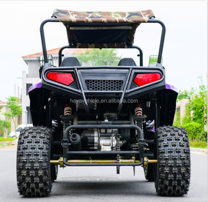 Go Kart 2024 de 150cc/200cc CVT de 2 Plazas con Certificación EEC/EPA - Product Image 4