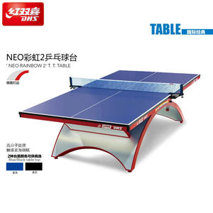 Mesa de Tenis de Mesa DHS Rainbow de 18 mm de Grosor, Resistente, para Uso en Interiores - Product Image 3