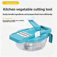 Coupe-légumes manuel multifonction direct usine, râpe à pommes de terre, trancheuse à carottes, en plastique et acier inoxydable, le summum