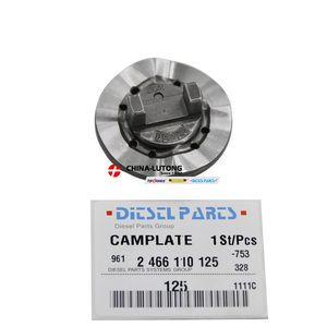 Élément de <span class=keywords><strong>pompe</strong></span> à injection de carburant DE125 VE, disque à cames 2466110125, plaque à cames pour moteur diesel Chevrolet S10 Blazer Ford F1000 2.5 TD - Product Image 3