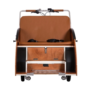 Vélo <span class=keywords><strong>de</strong></span> <span class=keywords><strong>transport</strong></span> électrique à trois roues, tricycle électrique à chargement frontal pour adultes - Product Image 3