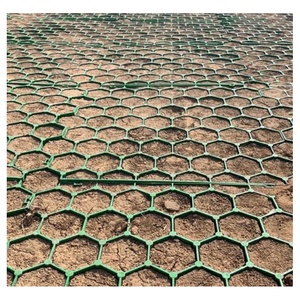Adoquines de Plástico Permeable Tipo Panal de Abeja de 150-200T/M2 para Estacionamientos, Caminos de Entrada, Jardines en Azoteas y Zoológicos - Product Image 2