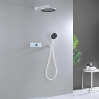 Douche murale thermostatique dissimulée en laiton brossé, style moderne, avec barre coulissante, affichage numérique, jet pluie doux