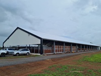 Séparation de mur latéral de diviseur stable de cheval pour l'organisation améliorée de stalle