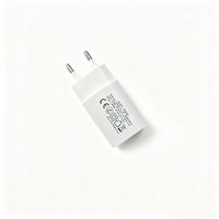 Mini adaptateur secteur USB Type-C 5V 2A 10W, chargeur mural DC 5V 6V pour lumières de sapin de Noël et petits appareils électroniques