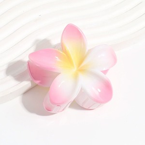 סיטונאי שיער אופנה פרח שיער עבור נשים הגברת הבוהמיאן פלסטיק שיער clamps אביזרים חוף ברטות מתנה - Product Image 6