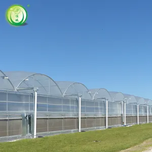 온실 200 미크론 플라스틱 필름 PE UV 저항 높은 터널 그린 하우스 농업 과일 야채
