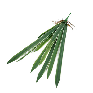 Feuilles d'<span class=keywords><strong>orchidée</strong></span> Dendrobium en PVC de haute qualité, plantes artificielles réalistes, décoration intérieure, aménagement de restaurant, articles de décoration florale - Product Image 5