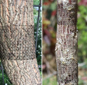 NUEVO Repelente de Animales, Tira Repelente, Plástico Anti Gatos, Tapete con Púas para Evitar que los Perros Hagan Agujeros - Product Image 4