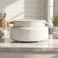 Cuisinière Électrique Multifonction Détachable, Programmable Numérique, avec Cuve Antiadhésive, Contrôle de Température et de la Durée, pour Cuisson à la Vapeur, Braisage, Simmulation de Cuisson, et Cuisson du Riz, Verre Trempé