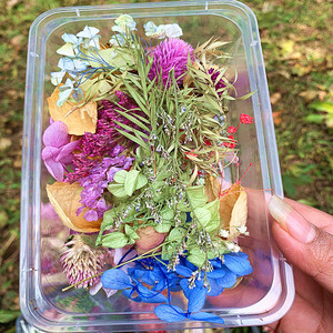 Preserved Eterna Epoxy Resin Pendant Necklace Craft Diy Floral 1 Box Natural <strong>Dried</strong> Flower Dry <strong>Plant</strong> for Aromatherapy Candle - Product Image 5